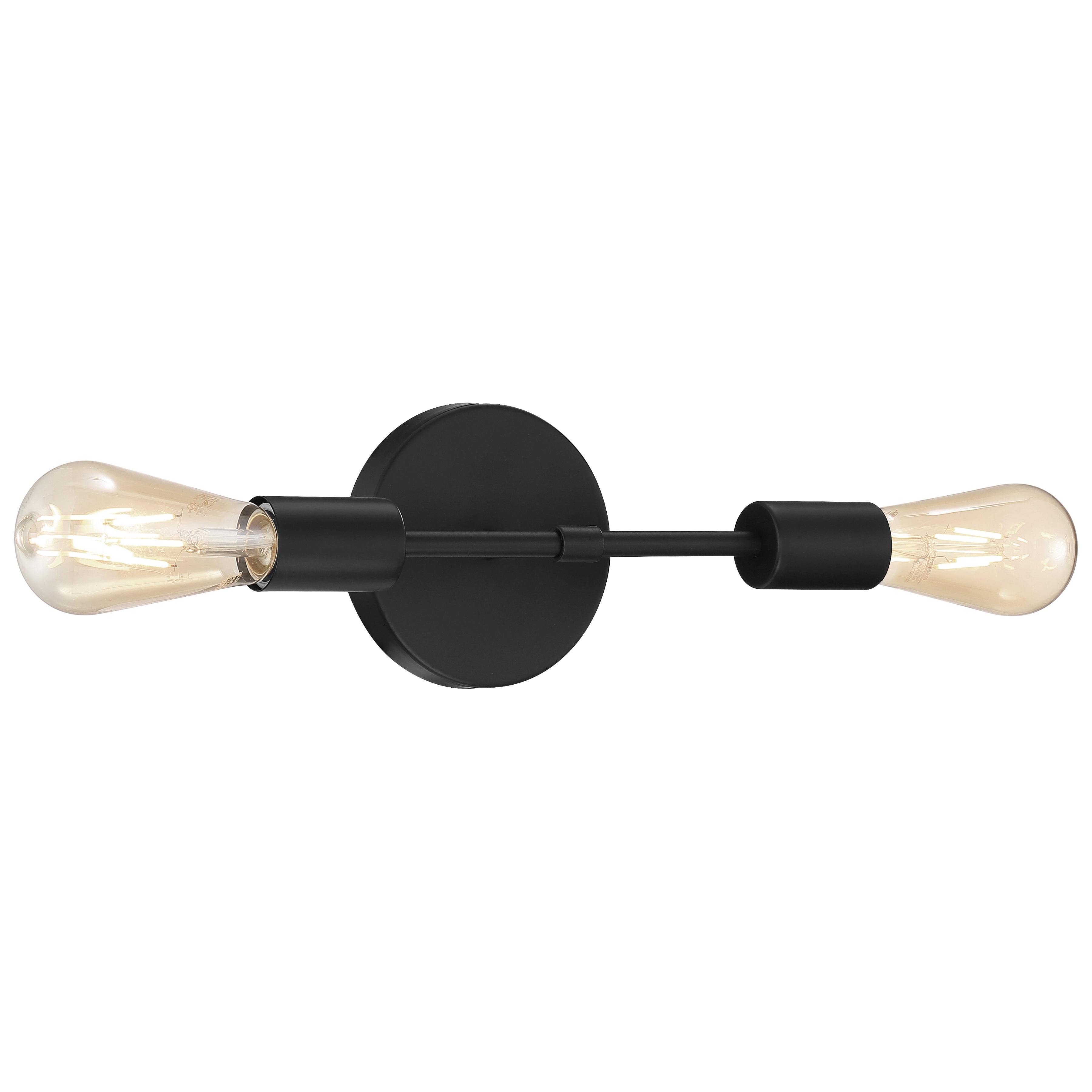 Iconic 2 Light LED Wall Sconce, Matte Black