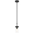 Lily 1 Light Pendant, Matte Black