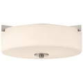 The Rachel 2 Light Flush Mount by Access Lighting features a round design with a white diffuser and brushed steel accents, shown from below against a plain background.