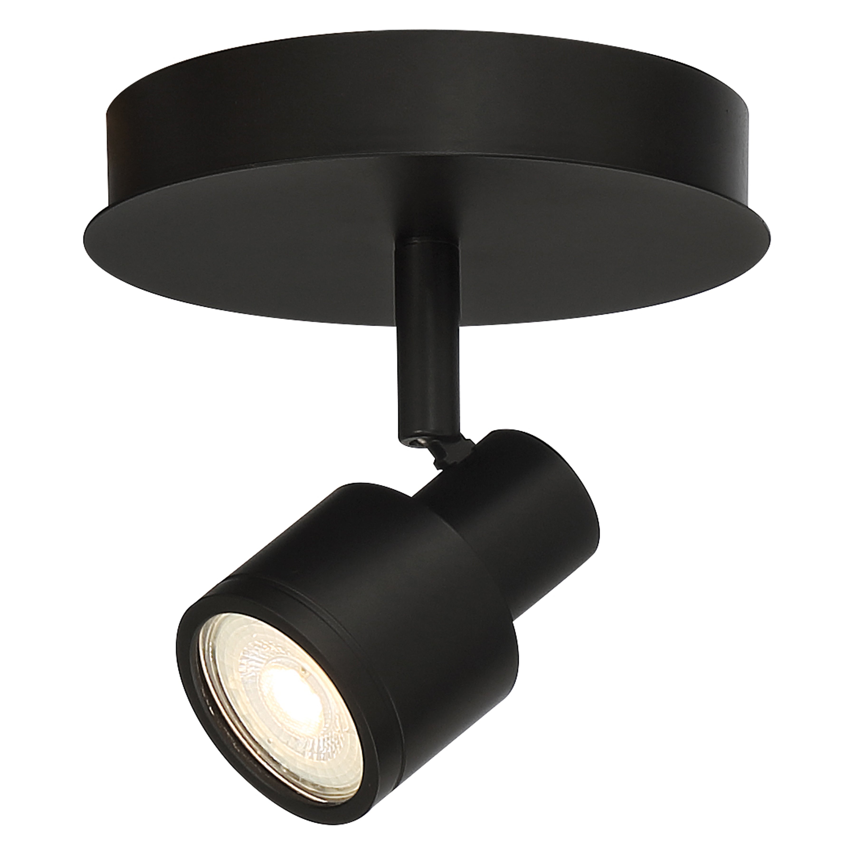 Lincoln 1 Light Adjustable LED Flush Mount, Matte Black