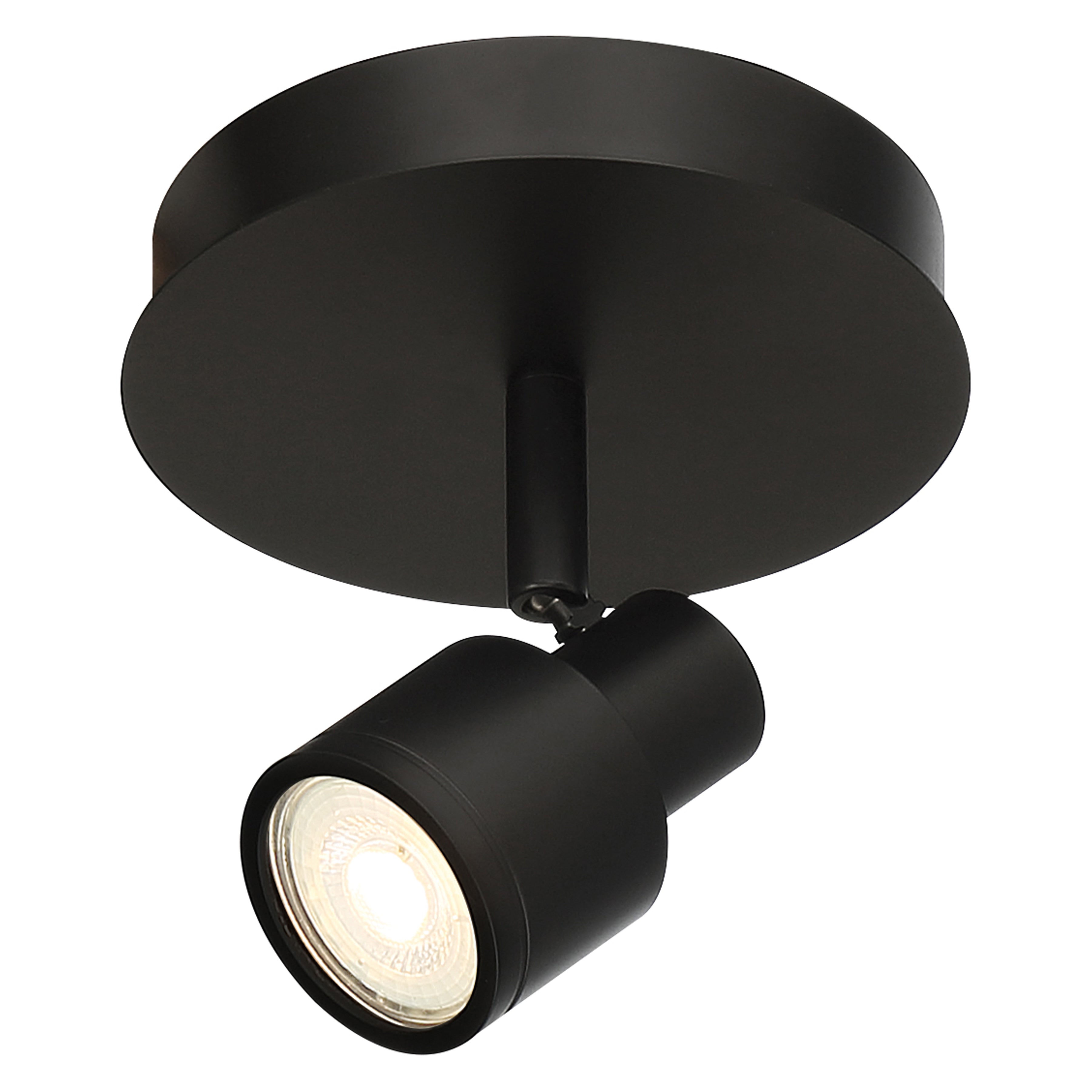 Lincoln 1 Light Adjustable LED Flush Mount, Matte Black