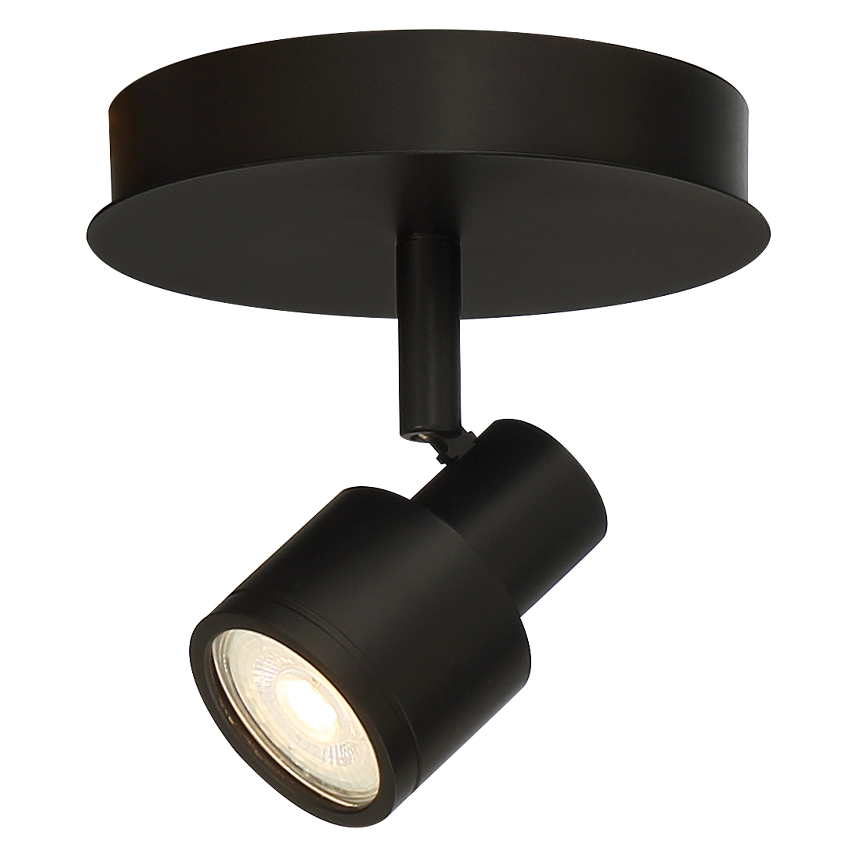 Lincoln 1 Light Adjustable LED Flush Mount, Matte Black