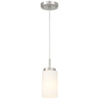 Iris 1 Light Pendant, Brushed Steel