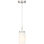 Iris 1 Light Pendant, Brushed Steel