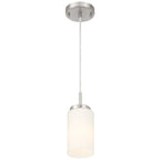 Iris 1 Light Pendant, Brushed Steel