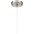 Iris 1 Light Pendant, Brushed Steel