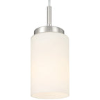 Iris 1 Light Pendant, Brushed Steel
