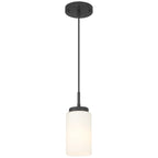 Iris 1 Light Pendant, Matte Black