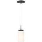 Iris 1 Light Pendant, Matte Black
