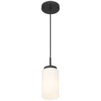 Iris 1 Light Pendant, Matte Black