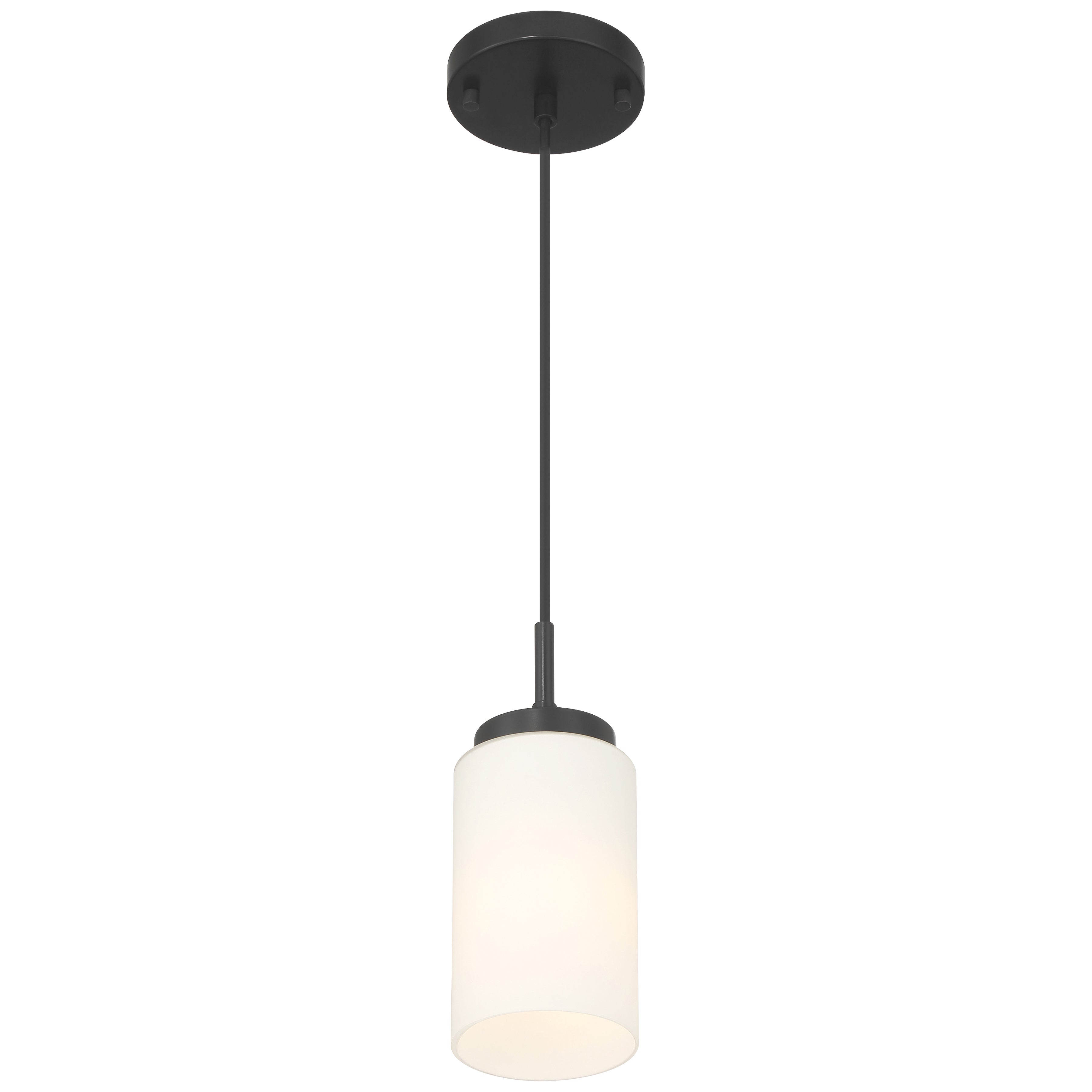 Iris 1 Light Pendant, Matte Black