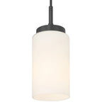 Iris 1 Light Pendant, Matte Black