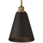 Dahlia 1 Light Pendant, Black Glass