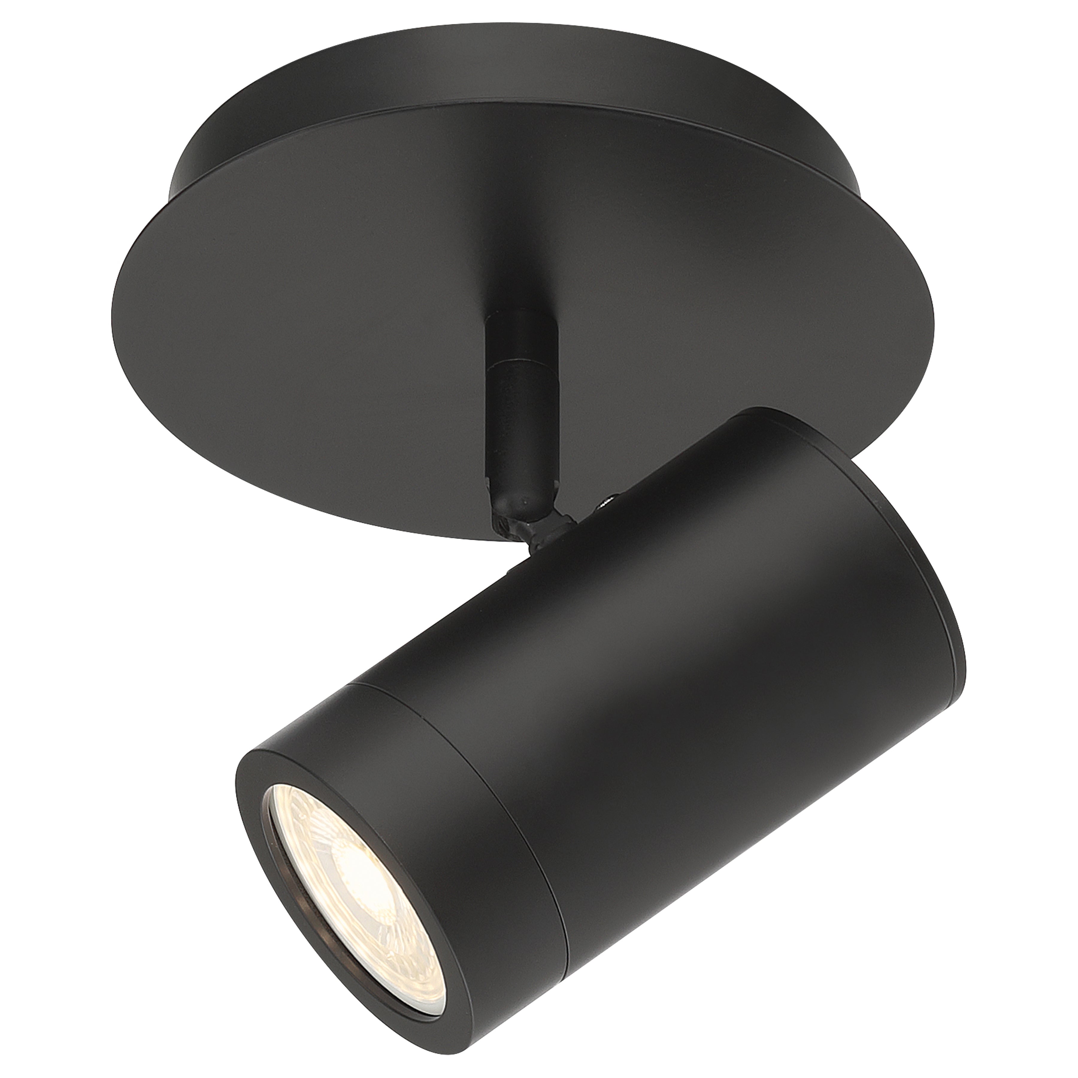 Prado 1 Light Adjustable LED Flush Mount, Matte Black