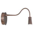 Epiphanie Gooseneck LED Wall Reading Light, Bronze