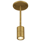 Cafe Dual Mount 1 Light LED Wall or Ceiling Spotlight, Antique Brushed Brass