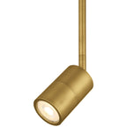 Cafe Dual Mount 1 Light LED Wall or Ceiling Spotlight, Antique Brushed Brass