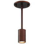 Cafe Dual Mount 1 Light LED Wall or Ceiling Spotlight, Bronze