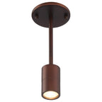 Cafe Dual Mount 1 Light LED Wall or Ceiling Spotlight, Bronze