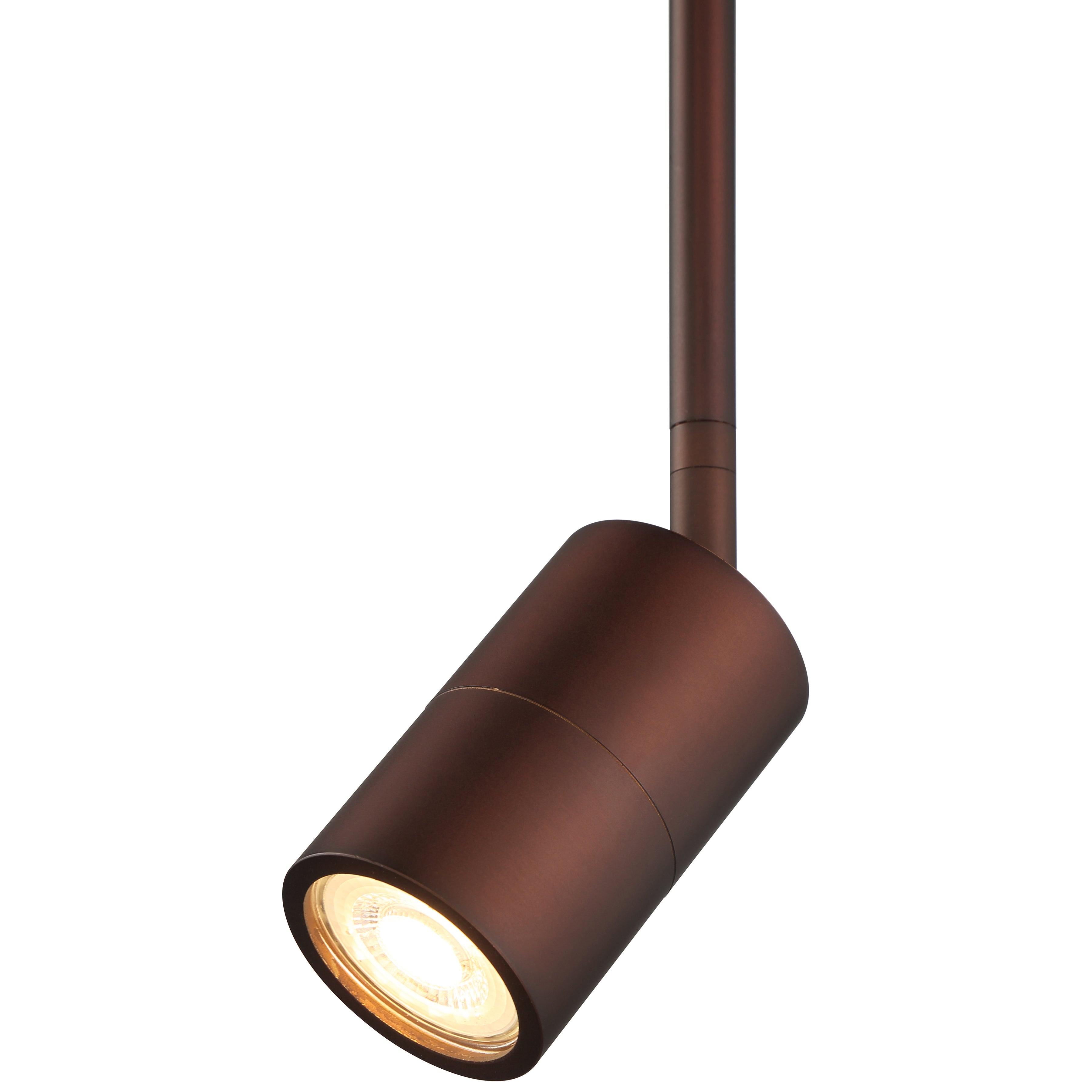 Cafe Dual Mount 1 Light LED Wall or Ceiling Spotlight, Bronze
