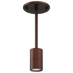 Cafe Dual Mount 1 Light LED Wall or Ceiling Spotlight, Bronze