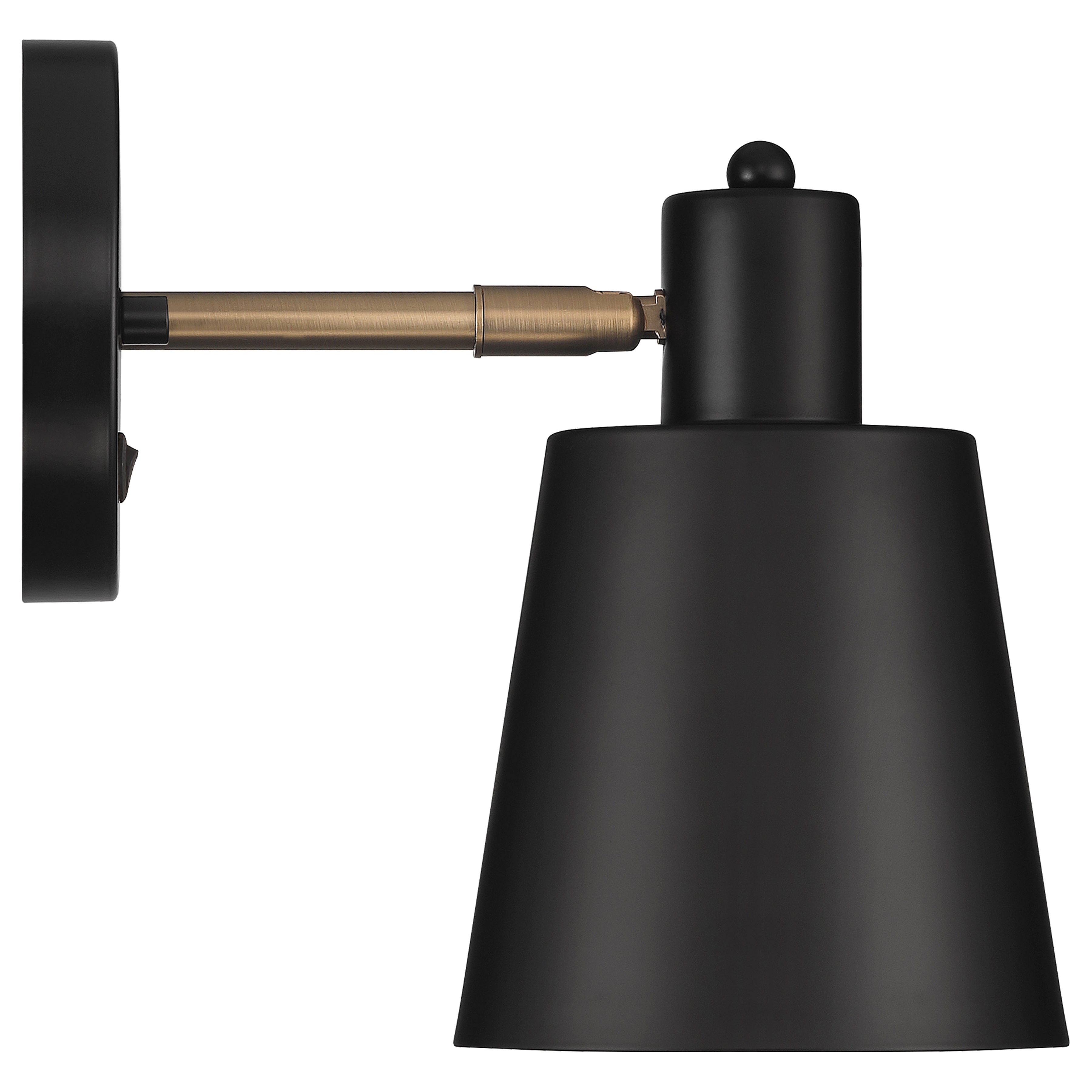 Dalton 1 Light Adjustable Wall Sconce