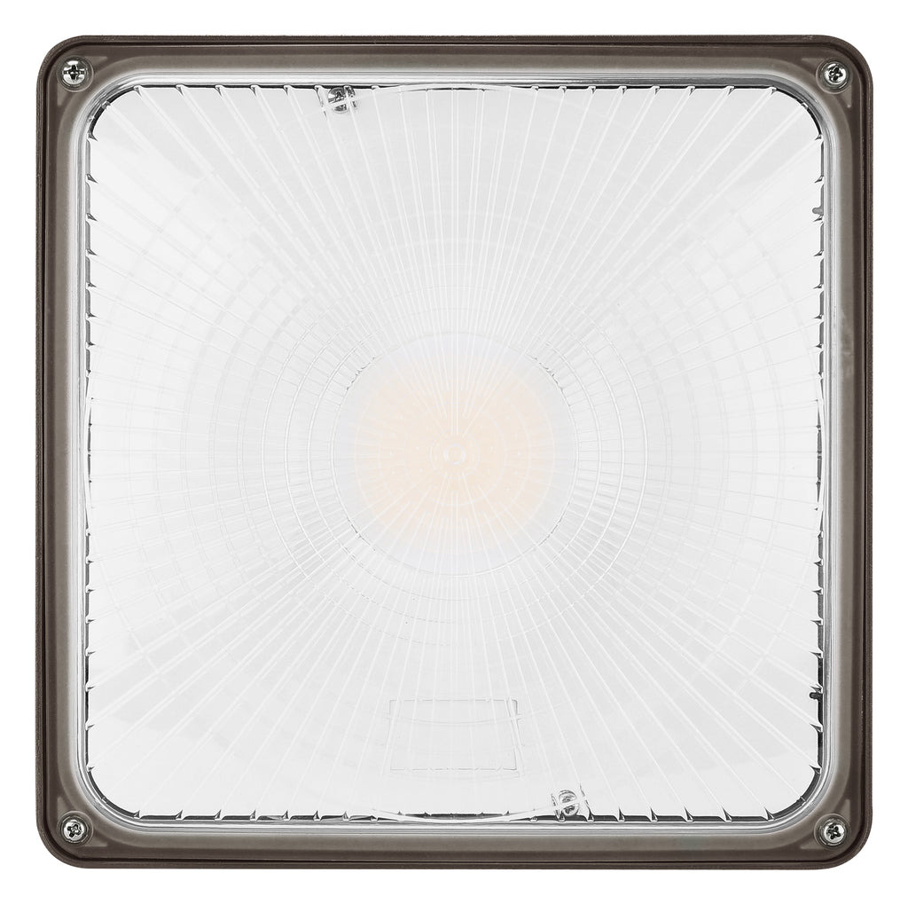 60W Selectable LED Canopy Light