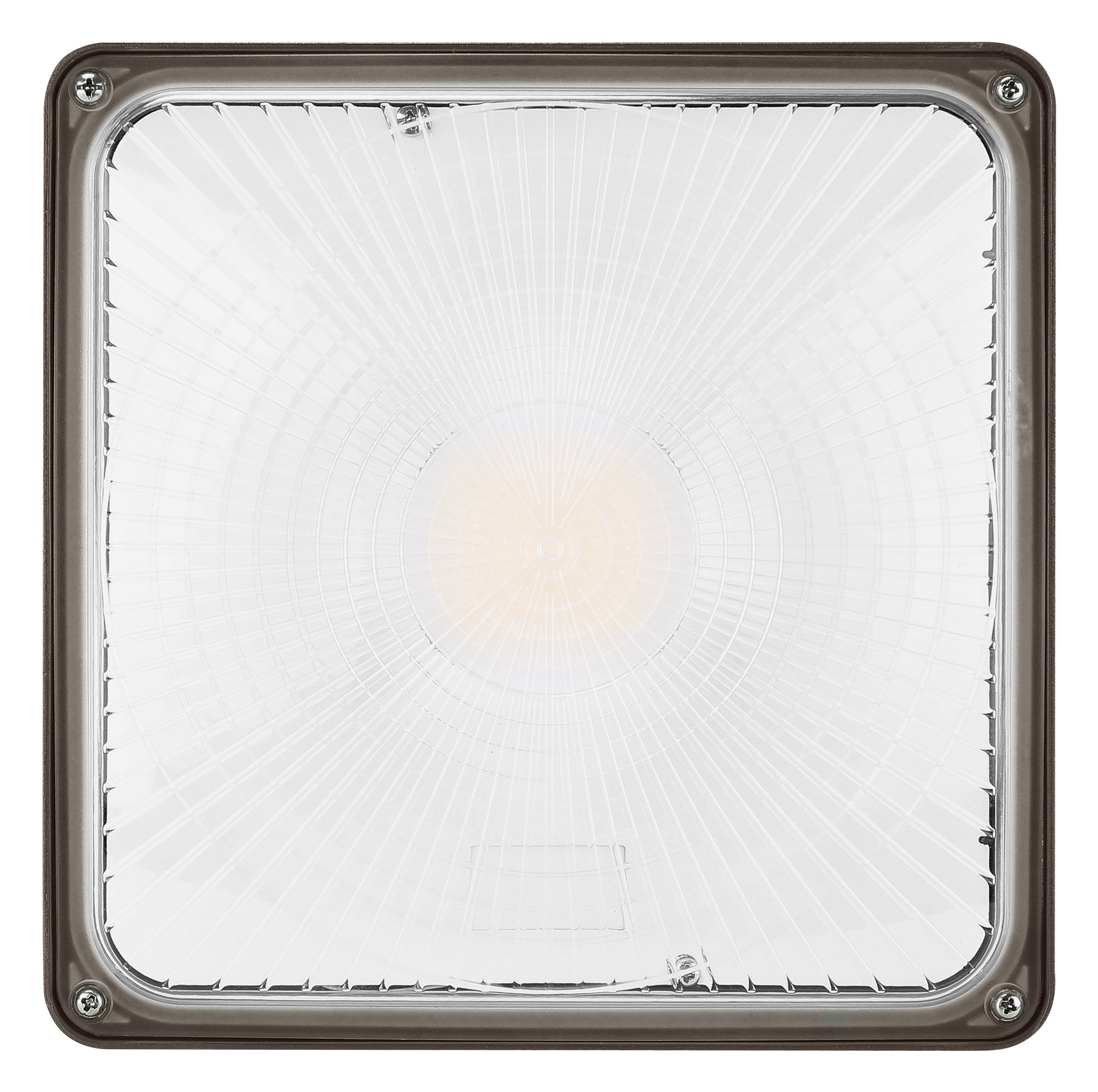 60W Selectable LED Canopy Light
