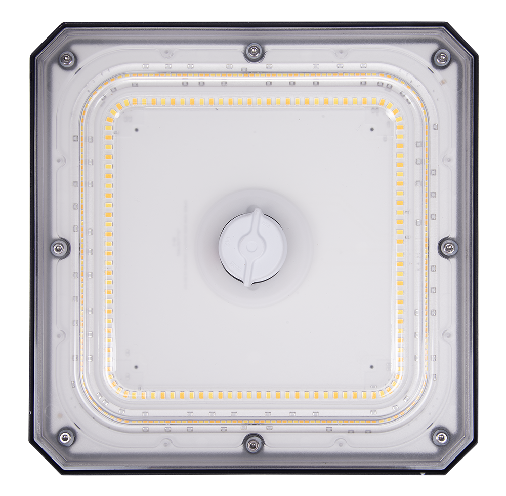 100W Selectable LED Canopy Light