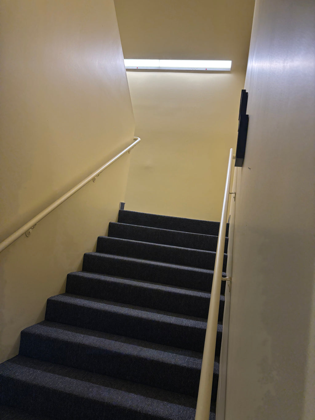 naturaLED 50W Selectable Stairwell LED Fixture — Wide, image 3