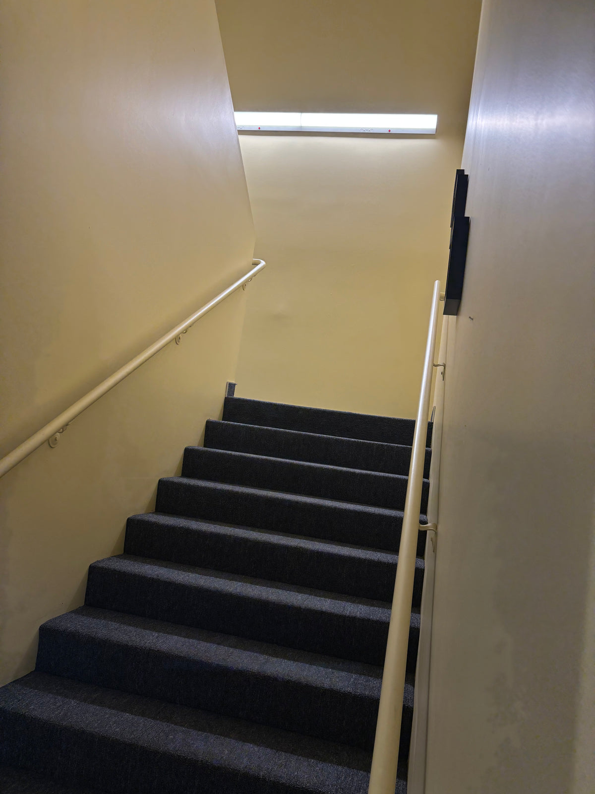naturaLED 50W Selectable Stairwell LED Fixture — Wide, image 3