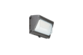 120W Selectable LED Wall Mount Light — Medium