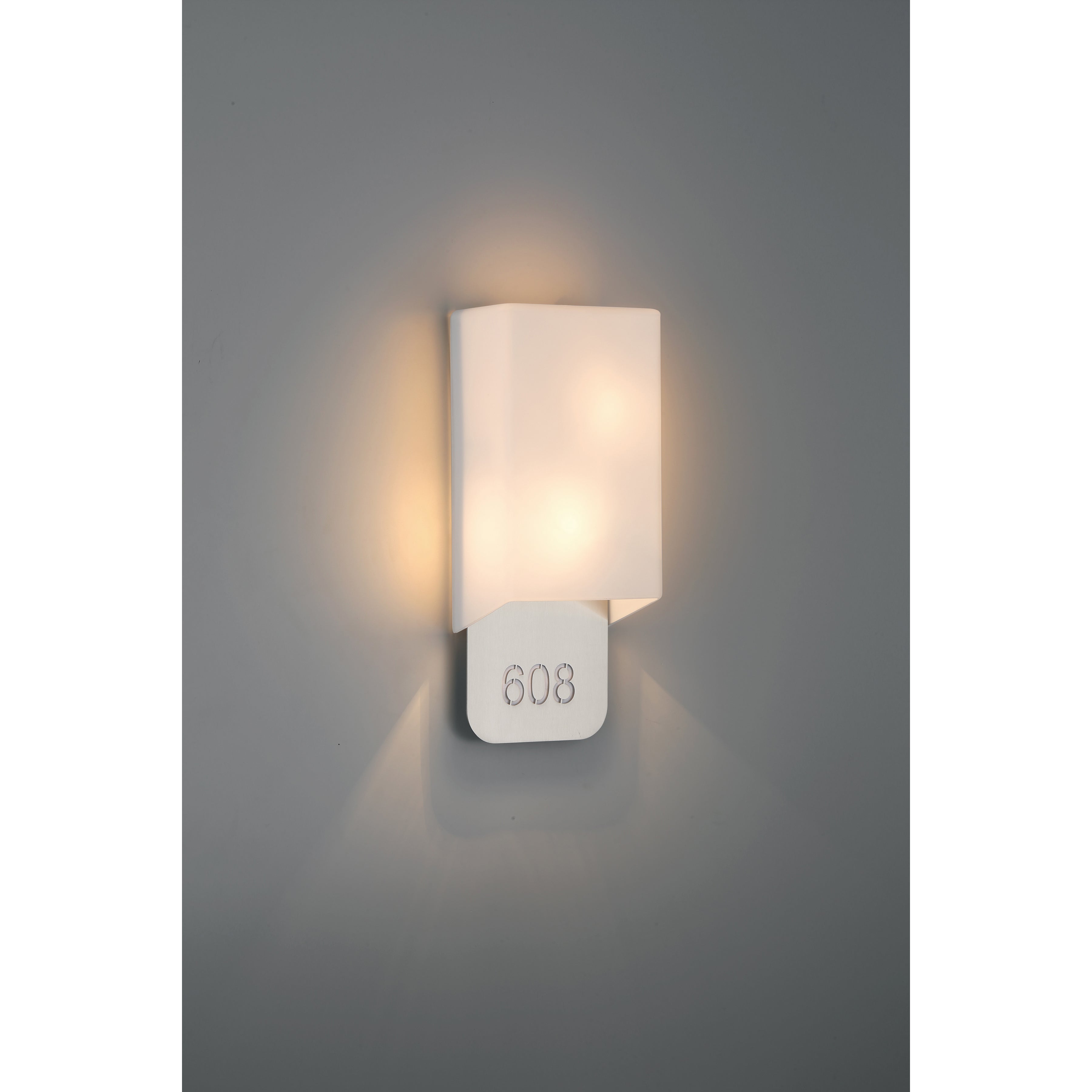 Décor 2 Light Indoor LED Address Light with Braille, Brushed Steel